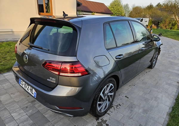 Volkswagen Golf cena 22900 przebieg: 163000, rok produkcji 2017 z Zamość małe 172